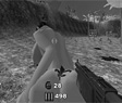 adult fps action